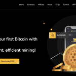 Dnminer.com Under Scrutiny
